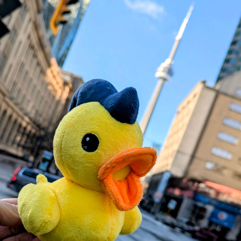 Analytics Debugger's Kamo in Toronto